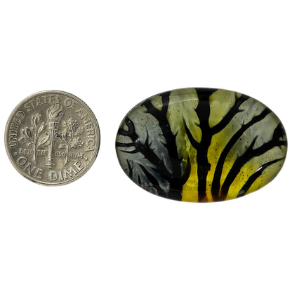 Dendritic Agate Doublet 21.3x31.85x7.3 mm Oval Shape Polished Gemstone LS127-06551