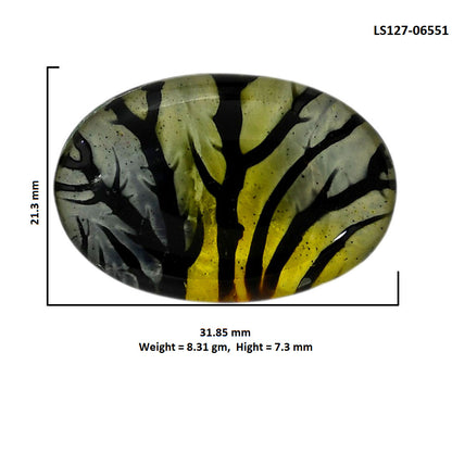 Dendritic Agate Doublet 21.3x31.85x7.3 mm Oval Shape Polished Gemstone LS127-06551