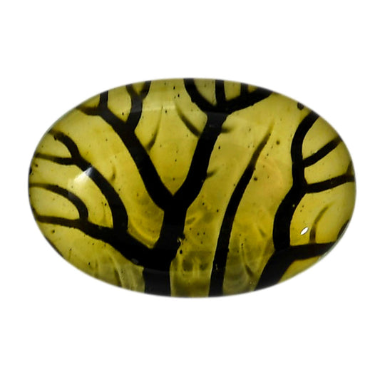 Dendritic Agate Doublet 20x29.75x7 mm Oval Shape Polished Gemstone LS127-06552