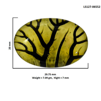 Dendritic Agate Doublet 20x29.75x7 mm Oval Shape Polished Gemstone LS127-06552