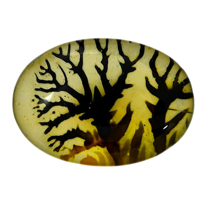 Dendritic Agate Doublet 21.2x30.1x7 mm Oval Shape Polished Gemstone LS127-06553