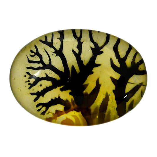 Dendritic Agate Doublet 21.2x30.1x7 mm Oval Shape Polished Gemstone LS127-06553