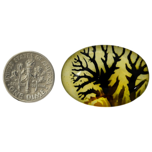 Dendritic Agate Doublet 21.2x30.1x7 mm Oval Shape Polished Gemstone LS127-06553