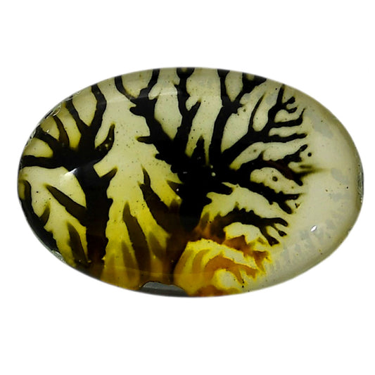 Dendritic Agate Doublet 22.15x32.25x7.5 mm Oval Shape Polished Gemstone LS127-06554