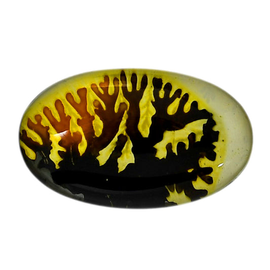 Dendritic Agate Doublet 17.3x29x7 mm Oval Shape Polished Gemstone LS127-06555