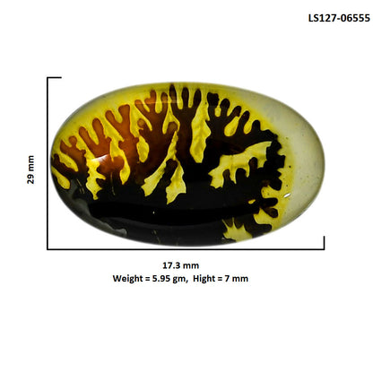 Dendritic Agate Doublet 17.3x29x7 mm Oval Shape Polished Gemstone LS127-06555