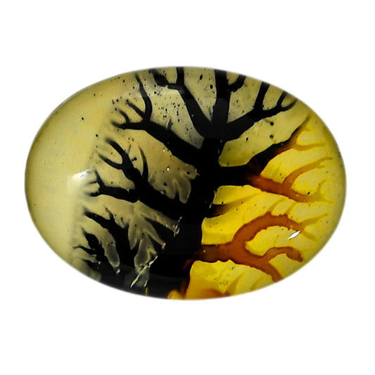 Dendritic Agate Doublet 21.25x29.2x7 mm Oval Shape Polished Gemstone LS127-06556