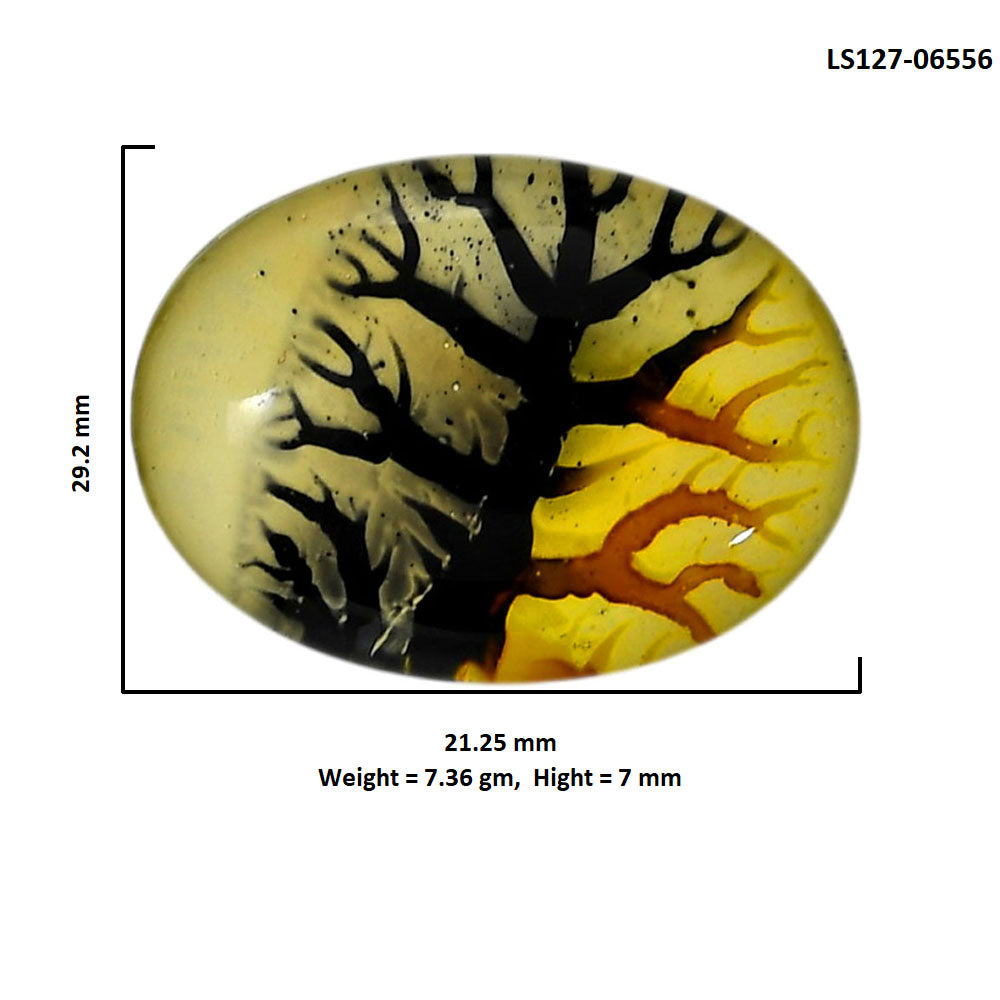 Dendritic Agate Doublet 21.25x29.2x7 mm Oval Shape Polished Gemstone LS127-06556