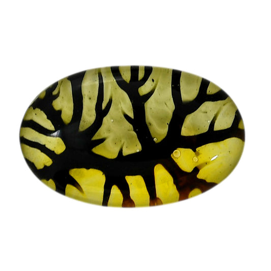 Dendritic Agate Doublet 19.2x30.45x7 mm Oval Shape Polished Gemstone LS127-06557