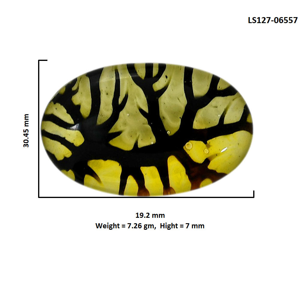 Dendritic Agate Doublet 19.2x30.45x7 mm Oval Shape Polished Gemstone LS127-06557