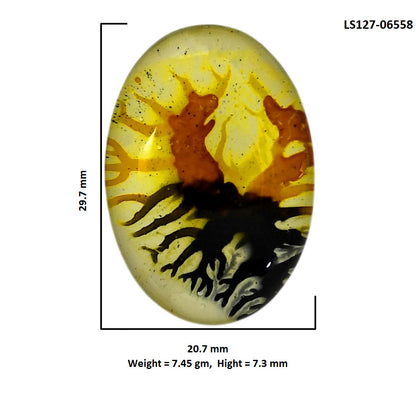 Dendritic Agate Doublet 20.7x29.7x7.3 mm Oval Shape Polished Gemstone LS127-06558