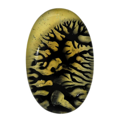 Dendritic Agate Doublet 20.85x32.6x7.5 mm Oval Shape Polished Gemstone LS127-06559