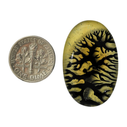 Dendritic Agate Doublet 20.85x32.6x7.5 mm Oval Shape Polished Gemstone LS127-06559