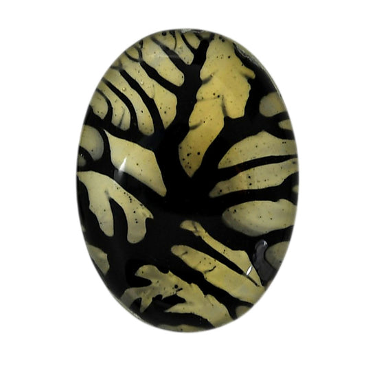 Dendritic Agate Doublet 21.35x29x7.3 mm Oval Shape Polished Gemstone LS127-06560