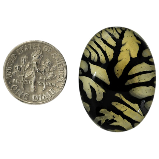 Dendritic Agate Doublet 21.35x29x7.3 mm Oval Shape Polished Gemstone LS127-06560