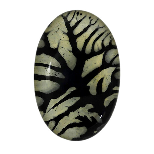 Dendritic Agate Doublet 21x32x7.3 mm Oval Shape Polished Gemstone LS127-06561