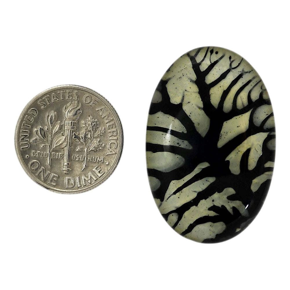 Dendritic Agate Doublet 21x32x7.3 mm Oval Shape Polished Gemstone LS127-06561