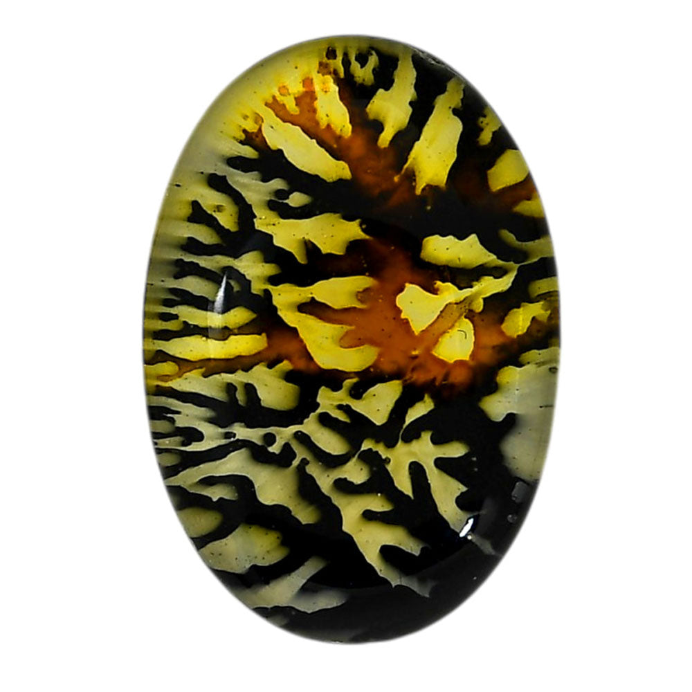 Dendritic Agate Doublet 21.35x31.2x7.3 mm Oval Shape Polished Gemstone LS127-06562