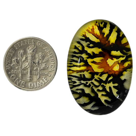 Dendritic Agate Doublet 21.35x31.2x7.3 mm Oval Shape Polished Gemstone LS127-06562
