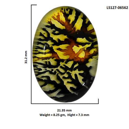 Dendritic Agate Doublet 21.35x31.2x7.3 mm Oval Shape Polished Gemstone LS127-06562