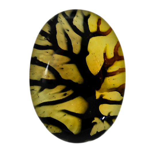 Dendritic Agate Doublet 23.15x32.2x7.3 mm Oval Shape Polished Gemstone LS127-06563