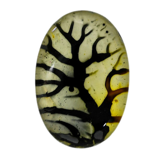 Dendritic Agate Doublet 20.8x31x7.5 mm Oval Shape Polished Gemstone LS127-06564