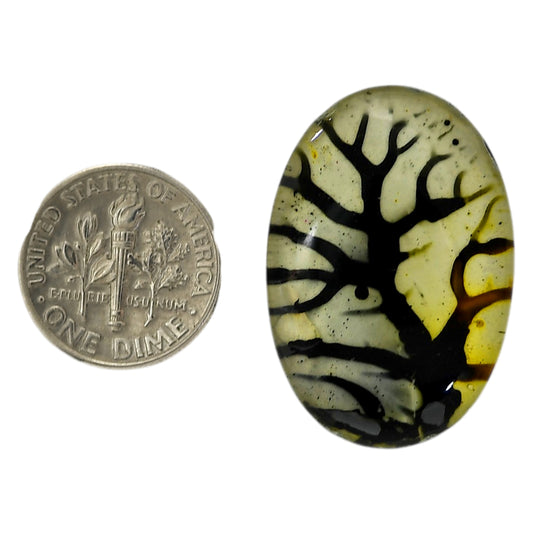 Dendritic Agate Doublet 20.8x31x7.5 mm Oval Shape Polished Gemstone LS127-06564