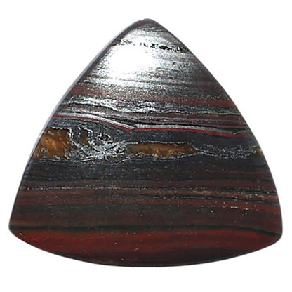 Iron Tiger Eye 20x22x2.7 mm Fancy Shape Polished Gemstone LS13-08349