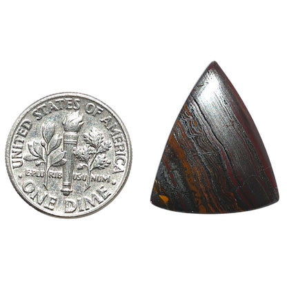 Iron Tiger Eye 18.2x21.6x3.4 mm Fancy Shape Polished Gemstone LS13-08368