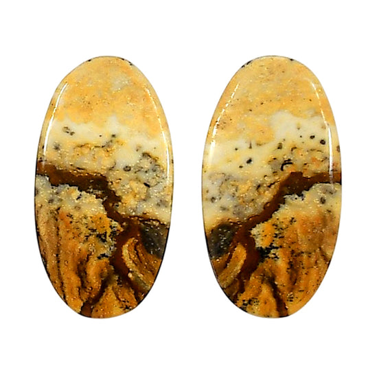 Picture Jasper Pair 13.6x25.6x4 mm Oval Shape Polished Gemstone LS130-06670