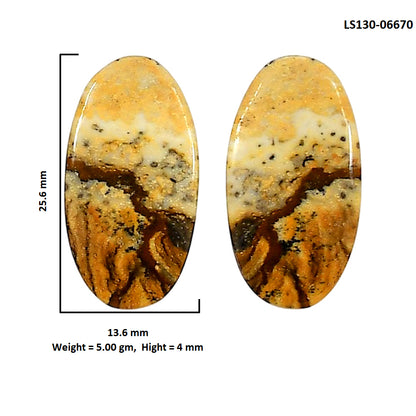 Picture Jasper Pair 13.6x25.6x4 mm Oval Shape Polished Gemstone LS130-06670