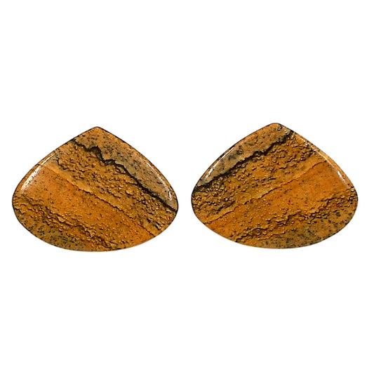 Picture Jasper Pair 17.75x23.6x4 mm Heart Shape Polished Gemstone LS130-06672