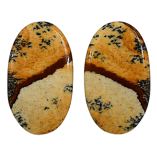Picture Jasper Pair 14.4x24.5x4 mm Oval Shape Polished Gemstone LS130-06677
