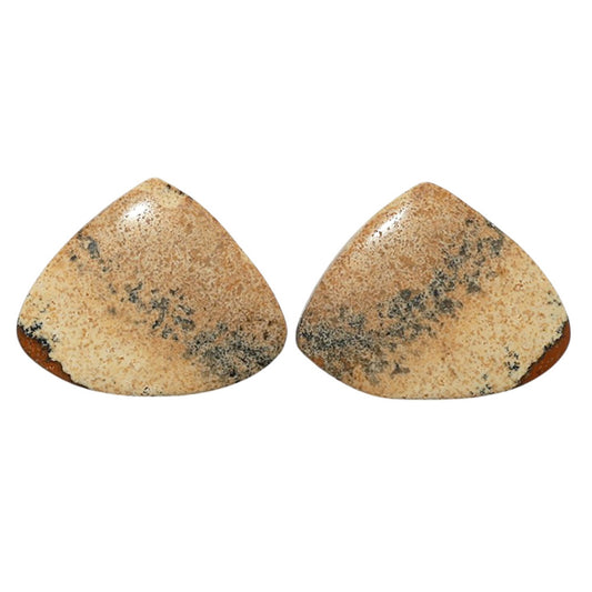 Picture Jasper Pair 20.1x25x3.5 mm Heart Shape Polished Gemstone LS130-07349