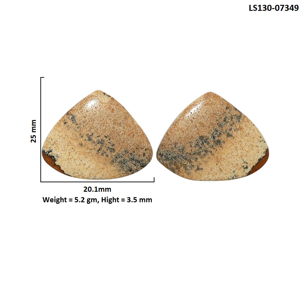 Picture Jasper Pair 20.1x25x3.5 mm Heart Shape Polished Gemstone LS130-07349