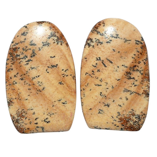 Picture Jasper Pair 13.7x21.8x4 mm Fancy Shape Polished Gemstone LS130-07352