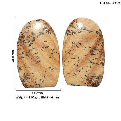 Picture Jasper Pair 13.7x21.8x4 mm Fancy Shape Polished Gemstone LS130-07352