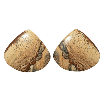 Picture Jasper Pair 21.3x23.3x4 mm Heart Shape Polished Gemstone LS130-07370