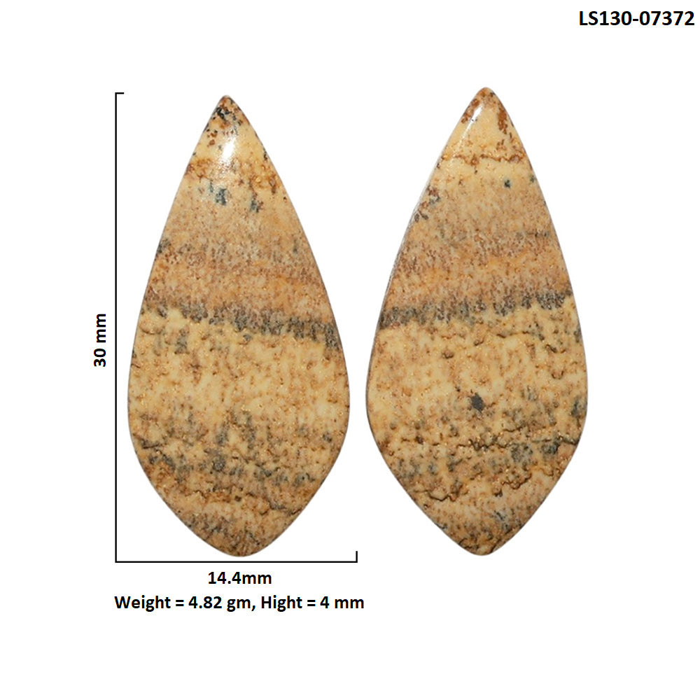 Picture Jasper Pair 14.4x30x4 mm Fancy Shape Polished Gemstone LS130-07372