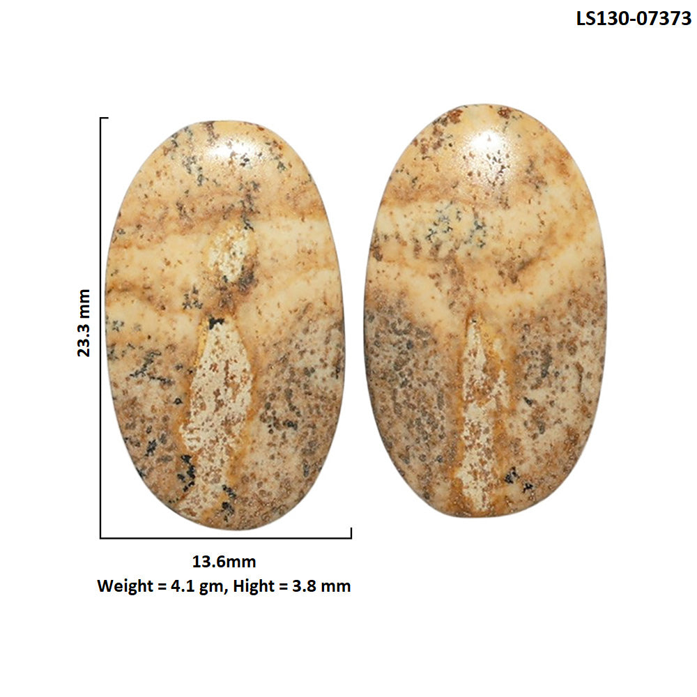 Picture Jasper Pair 13.6x23.3x3.8 mm Oval Shape Polished Gemstone LS130-07373