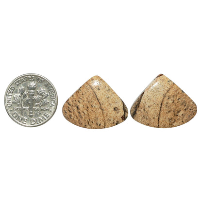 Picture Jasper Pair 17.6x21.9x3.5 mm Heart Shape Polished Gemstone LS130-07375