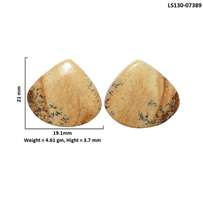 Picture Jasper Pair 19.1x21x3.7 mm Heart Shape Polished Gemstone LS130-07389