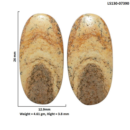 Picture Jasper Pair 12.9x26x3.8 mm Oval Shape Polished Gemstone LS130-07390
