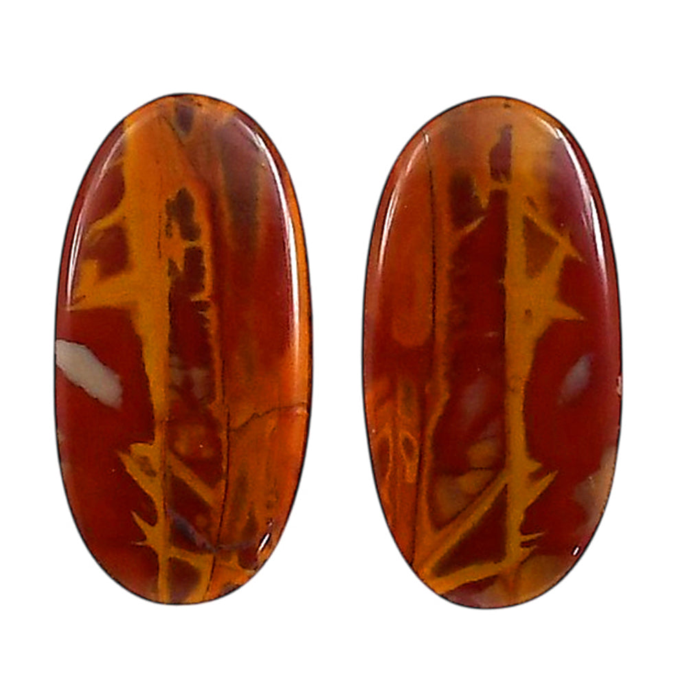 Noreena Jasper Pair 12.4x24.2x4.2 mm Oval Shape Polished Gemstone LS131-06709