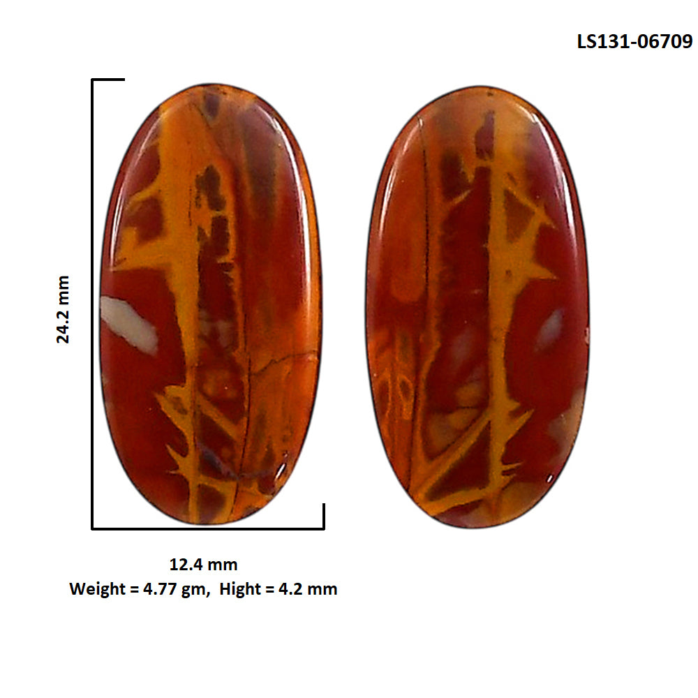 Noreena Jasper Pair 12.4x24.2x4.2 mm Oval Shape Polished Gemstone LS131-06709