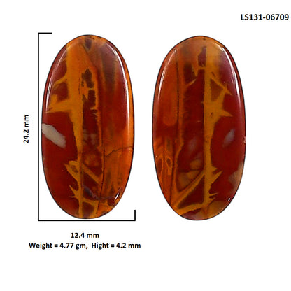 Noreena Jasper Pair 12.4x24.2x4.2 mm Oval Shape Polished Gemstone LS131-06709
