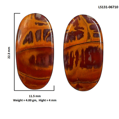 Noreena Jasper Pair 11.5x22.3x4 mm Oval Shape Polished Gemstone LS131-06710
