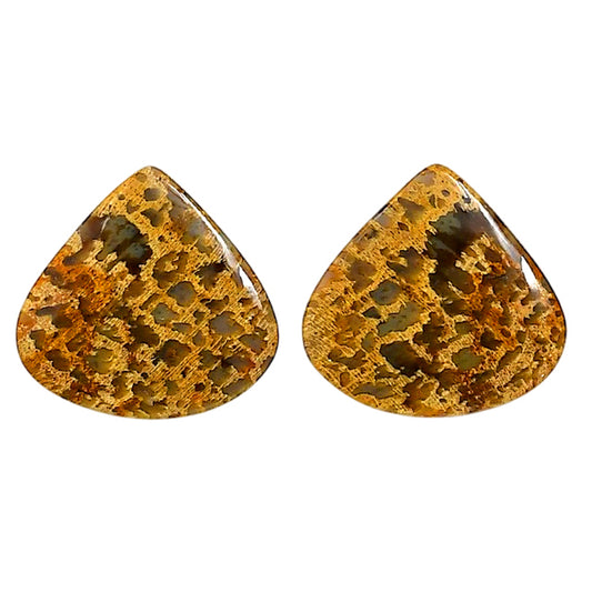 Plume Agate Pair 21x21.9x4 mm Heart Shape Polished Gemstone LS132-06720