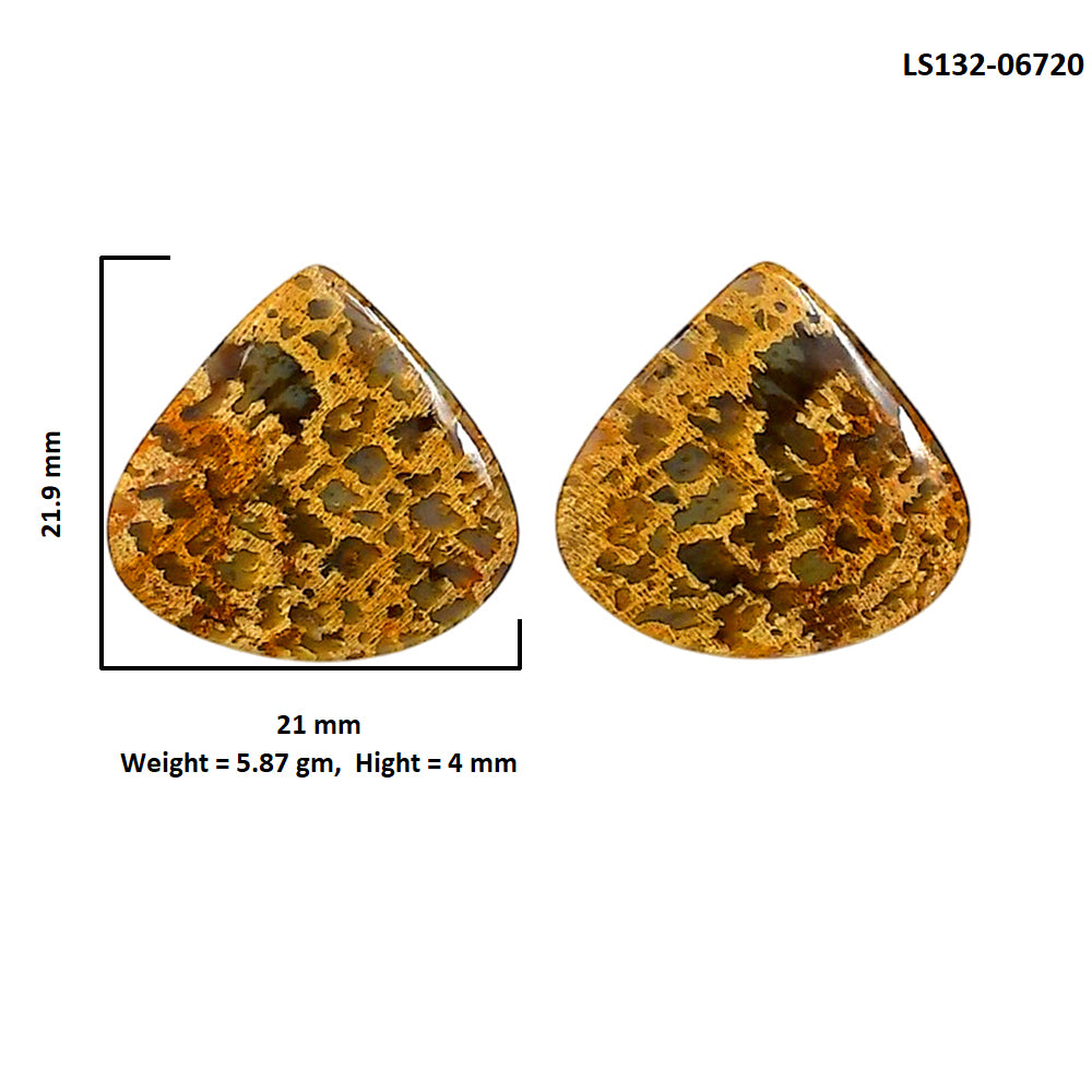 Plume Agate Pair 21x21.9x4 mm Heart Shape Polished Gemstone LS132-06720