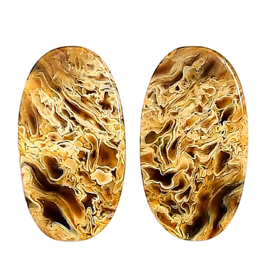 Plume Agate Pair 14x25.3x4.5 mm Oval Shape Polished Gemstone LS132-06723
